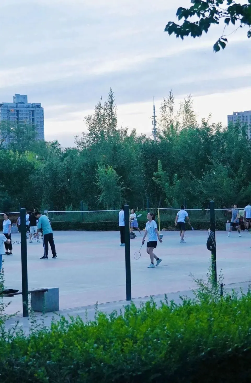 如何通过反馈分析提升篮球战术意识_2